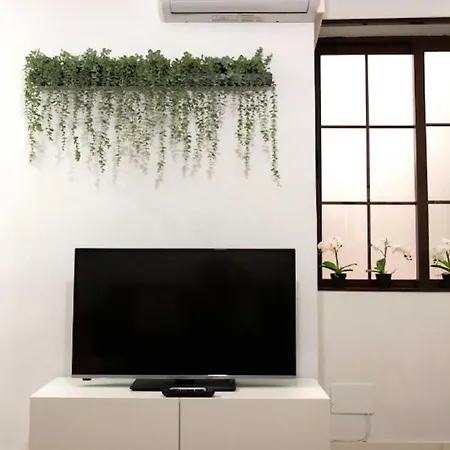 Apartment Holidays2malaga Lagunillas 3 Bedrooms Downtown Local Area 500mb Free Wifi